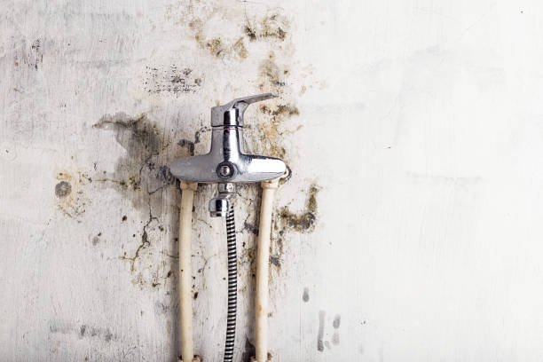 Best Certified Mold Removal  in Keasbey, NJ