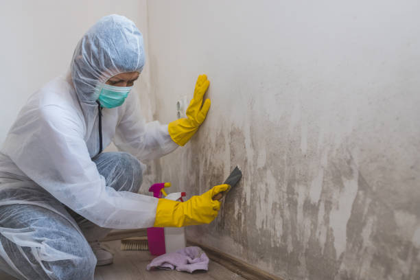 Best Black Mold Removal  in Keasbey, NJ