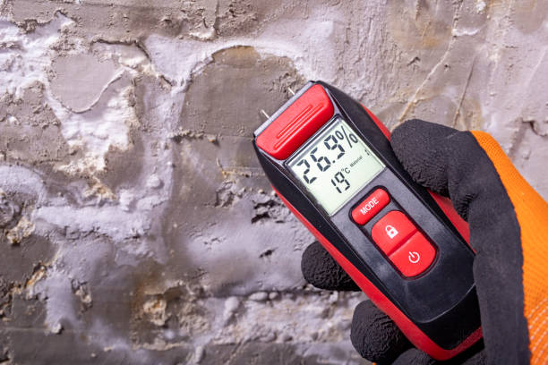 Best Office Mold Removal Services  in Keasbey, NJ