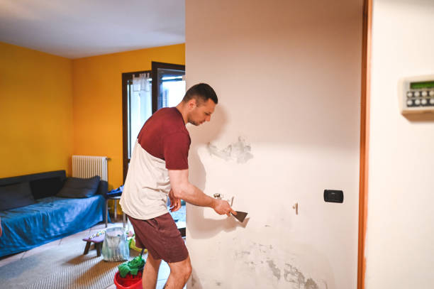 Certified Mold Removal in Keasbey, NJ