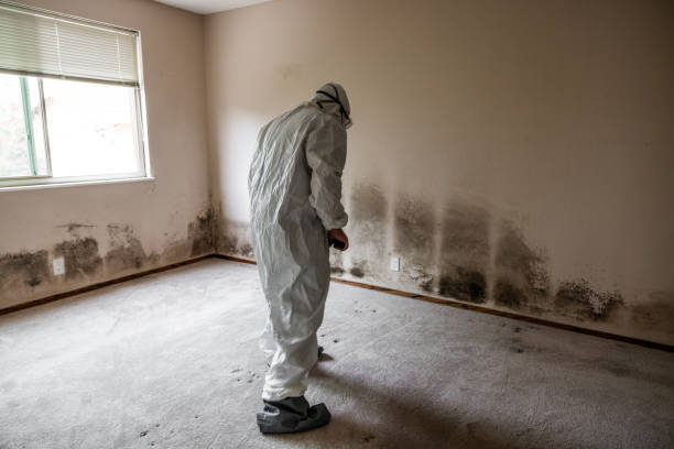 Best Crawl Space Mold Removal  in Keasbey, NJ